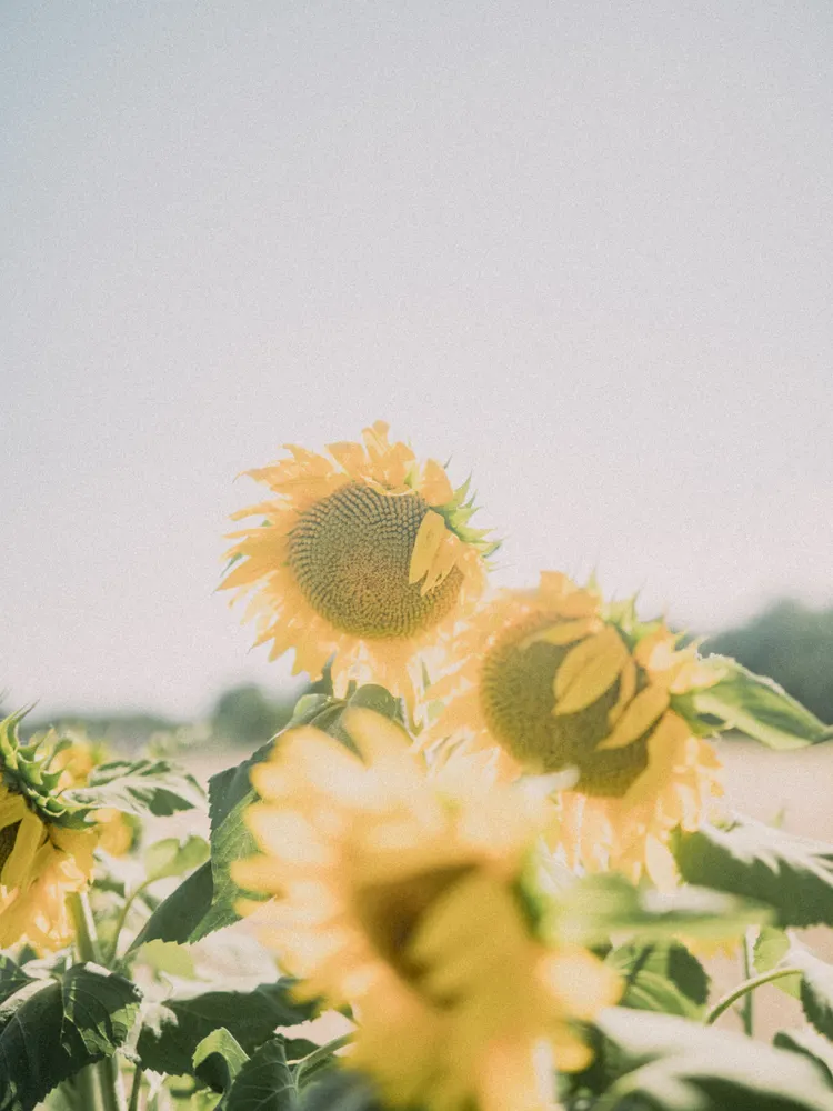 Passion Project — Riccardo Moricone 02